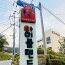 아이들랜드 이미지