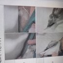 분당동행정복지센터 이미지