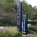 노온다목적운동장 이미지