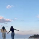 현상소비치하우스 이미지