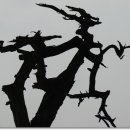 영주청구리입석 이미지