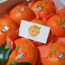 착한농장 이미지