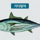 참치랜드 이미지