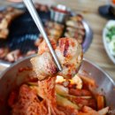 도민상회월정점
