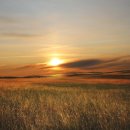 내려놓음 이미지