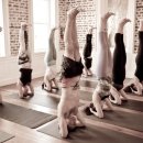 파워요가 이미지