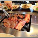 수원-1041 Daum카페