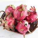 백용농장 이미지