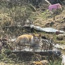 대강점빵 이미지