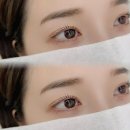 와이오브로우