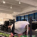 더베럴 캠프 | 영종도 PT 체계적으로 배우는 더베럴캠프 그룹PT 솔직 후기