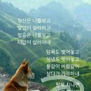 복 이미지