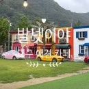 중대형견 유치원/호텔/미용 네발바닥 | [대구 애견카페] 발넷이야 | 대구실내애견카페 | 대구애견카페 | 대구애견호텔 추천