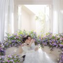압구정 르안 스튜디오 웨딩촬영 후기