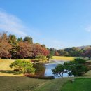 이포골프장 이미지