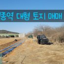 랜드마켓공인중개사사무소 이미지