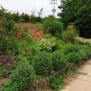 오진아 농촌치유농장 이미지