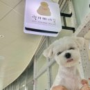 곽자매네일