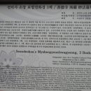 선덕사 소장 화암사판 묘법연화경 이미지