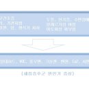엘클린 이미지