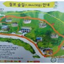 칠보산자연휴양림 이미지