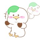 오비티 이미지