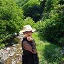 별미손칼국수 이미지