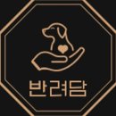 반려담 이미지
