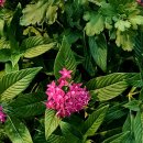 굿아이안경(석촌점) 이미지