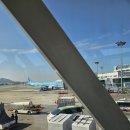 자연앤팜 | 서귀포키즈펜션 가족여행으로 다녀온 비스비제주 앤 팜빌리지 리얼 후기