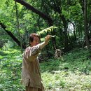 남양주조복산삼