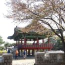 정발산공원 이미지