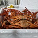 창포식당 | 포항 현지인 맛집 추천 창포수산 동네에서 홍게 무한리필로 즐기기