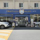 과일나라 앞 | 대구단체도시락 피크닉용으로 좋은 과일나라 앨리스