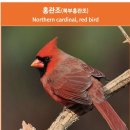 메드웨이 이미지