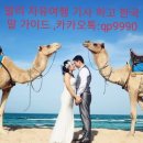 카멜 이미지