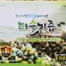 명가건강원 - 전주시 완산구 거마평로 139 | 명가건강원
