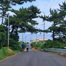 태균목장 이미지