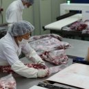 대우축산물 이미지