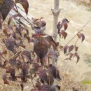 (주)황금농장 이미지