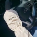 다솜이네 이미지