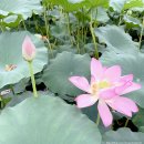 우리는 가족자연탐험대 이미지