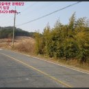 청양군남양면백금보건진료소 이미지