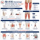 골반정렬치료학회