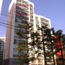 세븐일레븐 안성점 이미지