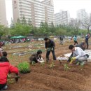 ‘고양시 시민복지농장’ 분양 받으세요! 이미지