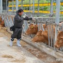 박영주농장 이미지