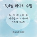 소울펠리시티