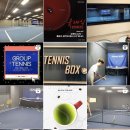 테니스박스(Tennis Box) 이미지