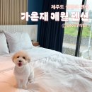 가온재 애월 이미지